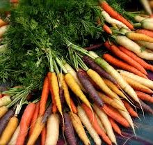 Carrot Seed Essential Oil