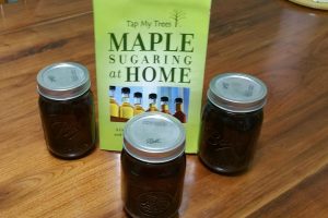 Maple Syrup, Know How to Make?