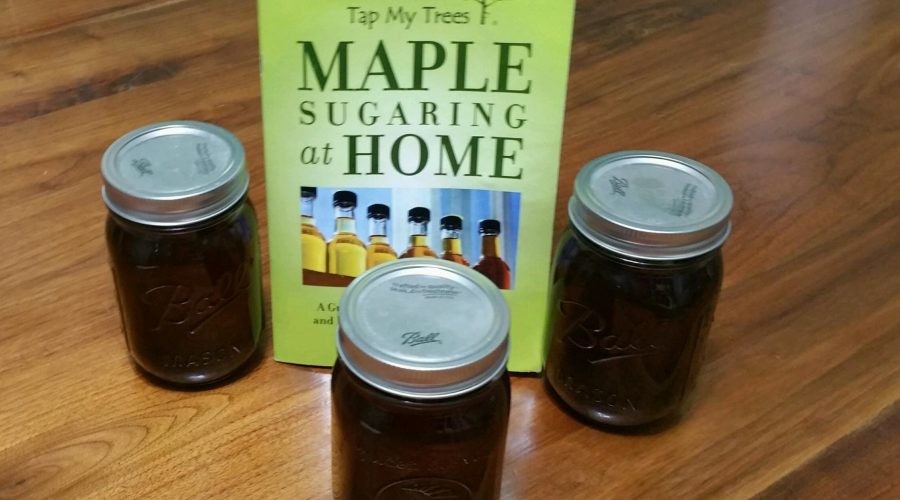 Maple Syrup, Know How to Make?
