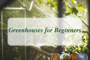 Greenhouse Course