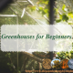 What Made Me Take a Greenhouse Course