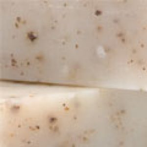 Forest Tonic Bar Soap