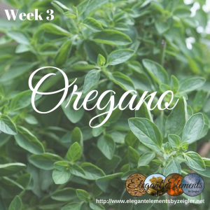 Oregano is a healer as well as a spice