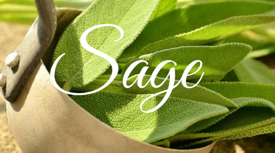 Sage