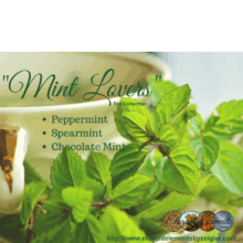 Mint Lovers