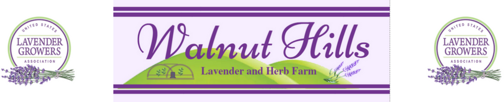 Walnut Hills Lavender and Herb Farm